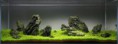 /album/m%e1%ba%abu-b%e1%bb%83-thu%e1%bb%b7-sinh-theo-phong-cach-iwagumi1/a387-jpg1/