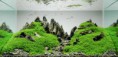 /album/m%e1%ba%abu-b%e1%bb%83-thu%e1%bb%b7-sinh-theo-phong-cach-iwagumi1/a655-jpg1/