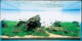 /album/m%e1%ba%abu-b%e1%bb%83-thu%e1%bb%b7-sinh-theo-phong-cach-iwagumi1/adatank18-jpg1/