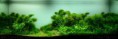 /album/m%e1%ba%abu-b%e1%bb%83-thu%e1%bb%b7-sinh-theo-phong-cach-t%e1%bb%b1-nhi%c3%aan/a1010745-392453860864412-1008849343-n-jpg/